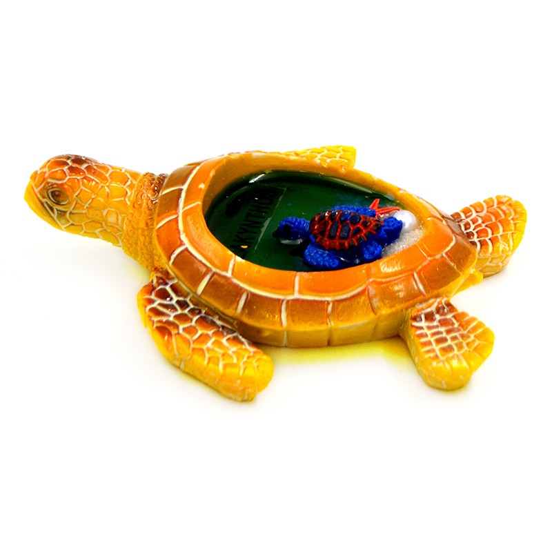 xelwna cyali zak 55955   kinas