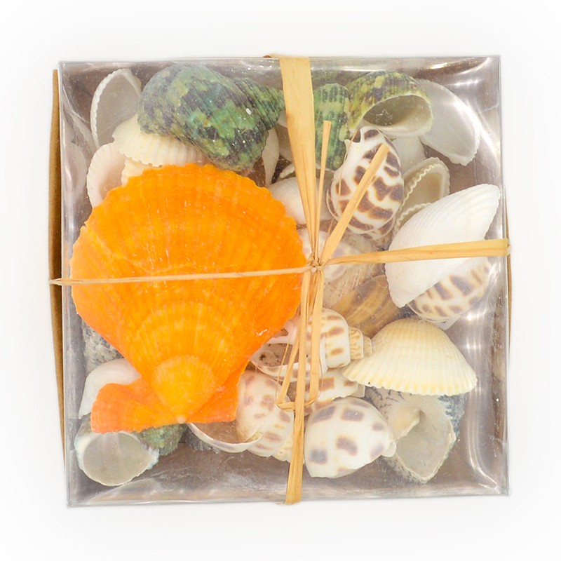 koxylia diakosmhtika se...