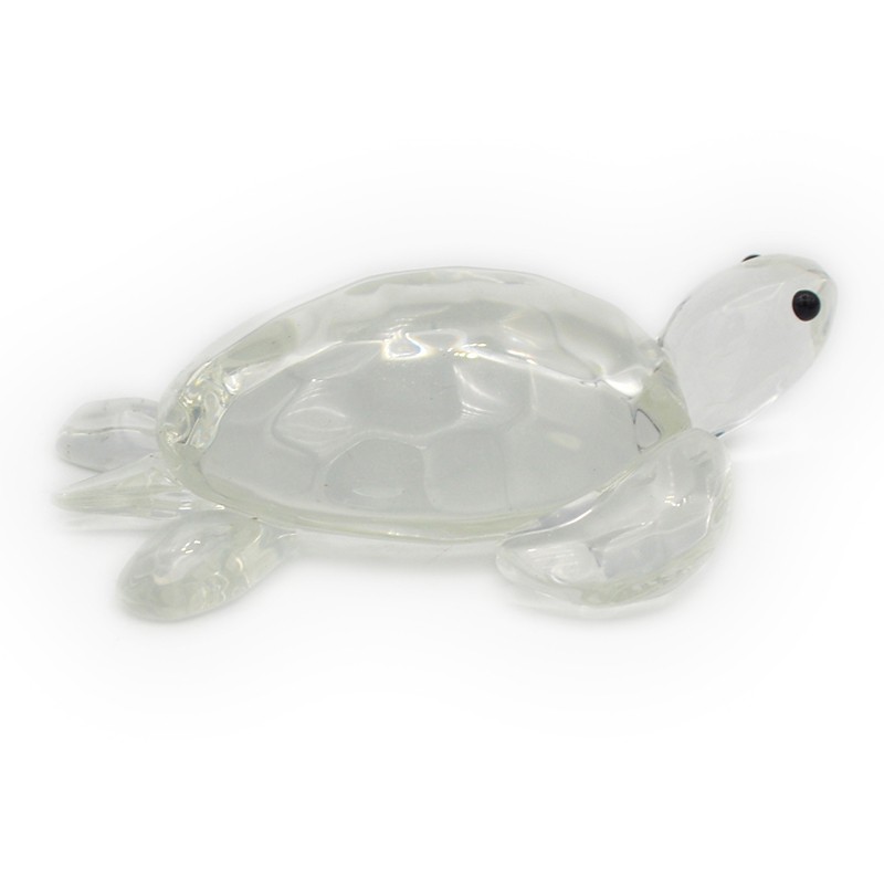 cyalinh xelwna  55899  kinas