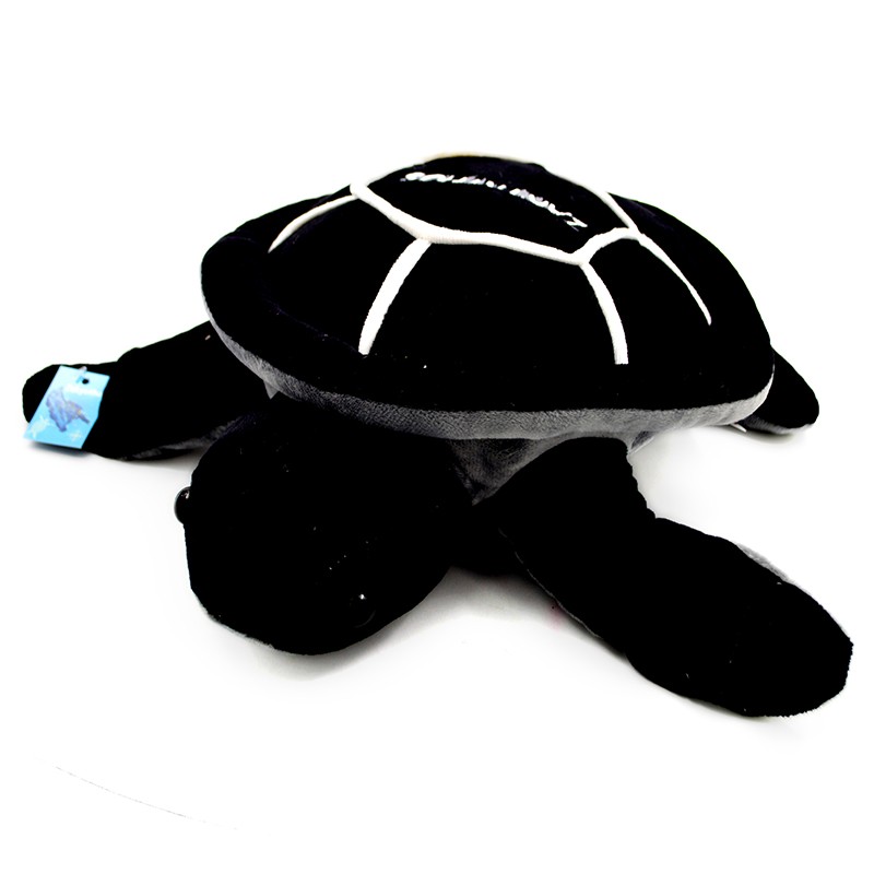 xelwna loytrinh mayrh 30cm...